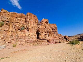 Fototapeta premium Street of Facades in ancient city Petra, Jordan