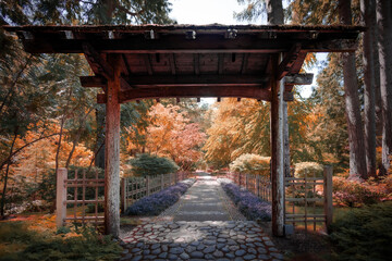 japanese garden in fall