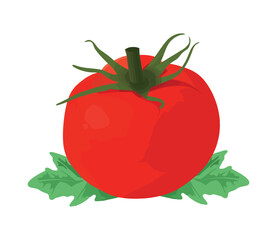Fresh organic tomato salad healthy vegetarian meal
