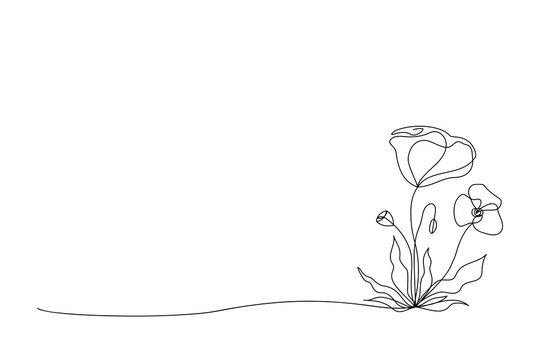 Wildflower abstract poppy drawn in one line. Sketch. Continuous line drawing botanical art. Vector illustration in minimalist style.