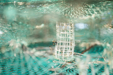 View of Djerba, a large island in southern Tunisia
