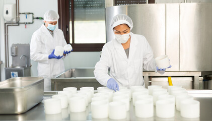 Experienced Asian workwoman wearing white robe and protective face mask engaged in cheesemaking shaping cheese wheels in dairy workshop