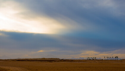 beautiful landscape at sunset in sahl hashish for banner background.beautiful egyptian landscape with silhouettes of palms and mountains