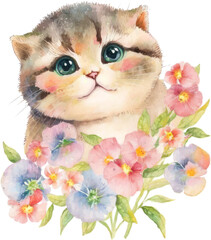 scottish fold cat with spring flowers watercolor