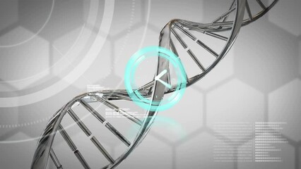 Animation of neon ticking clock and spinning dna and chemical structures against grey background - Powered by Adobe