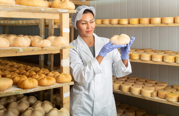 Professional woman cheesemaker checking aging process of hard goat cheese in special maturing chamber at dairy