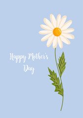 Mother's day greeting card. Chamomile flower. Botanical vector isolated illustration for postcard, poster, ad, decor, fabric and other uses.