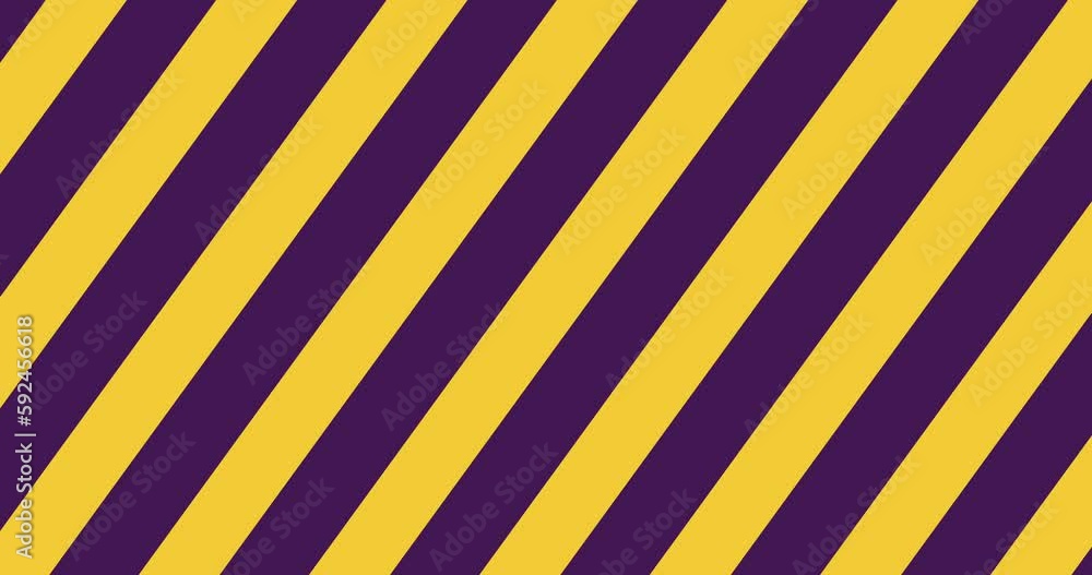 Wall mural seamless loop abstract striped animation. 4k resolution. purple and yellow line swipe transitions mo