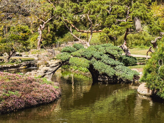 Fototapeta na wymiar japanese garden pond