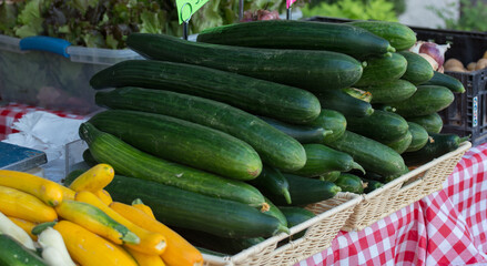Organic Cucumbers at the Market