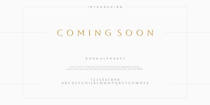 Serif classic design font vector illustration of alphabet letters.