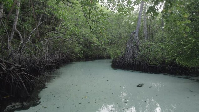 LAGUNA D-LOG PARAISO SAMANA REPUBLICA DOMINICANA CA&Ntilde;O FRIO SAMANA 4K