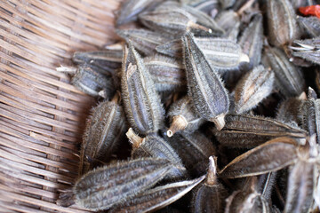 乾燥させたオクラ