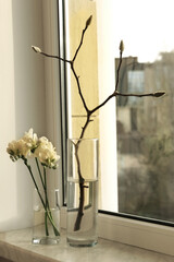 Beautiful freesia flowers and tree branch with buds on window sill indoors. Spring time