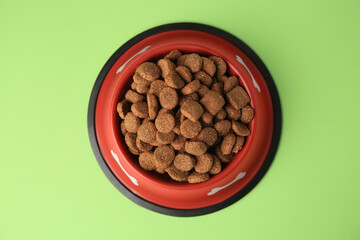 Dry dog food in feeding bowl on light green background, top view