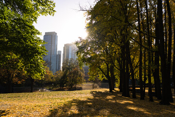 Fort Greene Park with Colorful Trees during Autumn and a View of Skyscrapers in Fort Greene Brooklyn of New York City