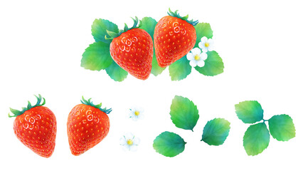 熟した赤いイチゴと葉と花の水彩イラストセット_新鮮で甘いかわいいフルーツ