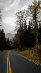 road in autumn yellow color block