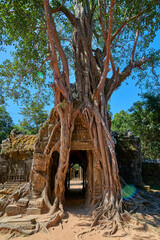 Ta Som temple Khmer temple at Angkor Thom is popular tourist attraction, Angkor Wat Archaeological...
