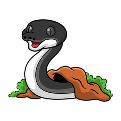 Cute albertisi snake cartoon out from hole