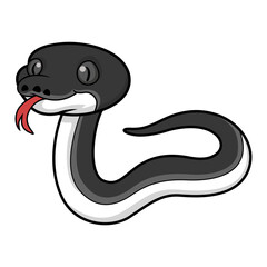 Cute happy albertisi snake cartoon