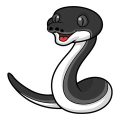 Fototapeta premium Cute happy albertisi snake cartoon