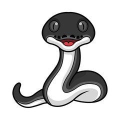Fototapeta premium Cute happy albertisi snake cartoon