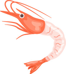 有頭甘えびのイラスト