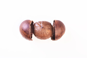 Sweet chestnut  isolated on white background.   