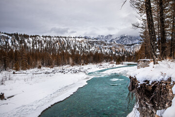Fototapeta premium A peaceful winter scene of a frozen forest, blanketed in snow and dotted with tall pine trees, surrounded by clouds and sky.