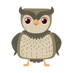 cute owl animal