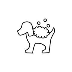 Washing of dog with shampoo on white background