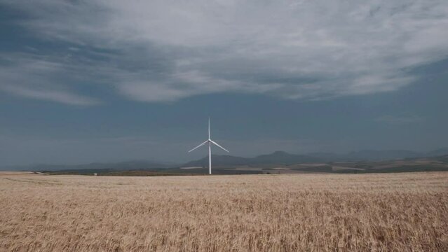A wind turbine rotating on a wheat field with blue skies clouds and mountains