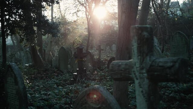 Old overgrown graves and misty sunshine in the background
