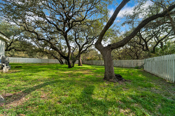 a back yard
