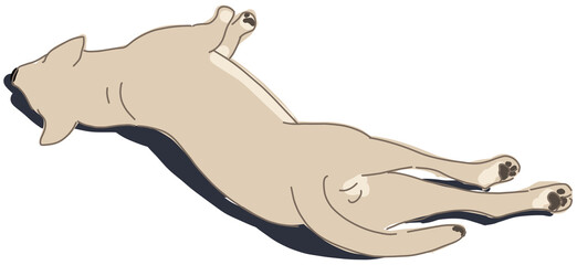 dog lying  on ground