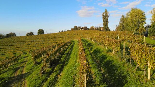 Aerial 4K drone footage of Kog during sunrise. It is a village in the hills northeast of Ormož in northeastern Slovenia, right on the border with Croatia.