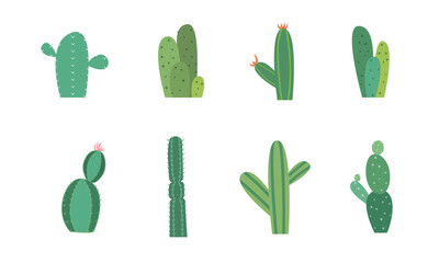 Set of Cartoon colorful cactus and succulents. Decorative flowers and plants. Isolated icons illustration. Collection of exotic plants.