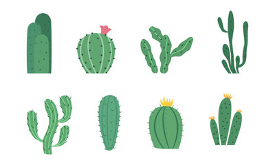 Set of Cartoon colorful cactus and succulents. Decorative flowers and plants. Isolated icons illustration. Collection of exotic plants.