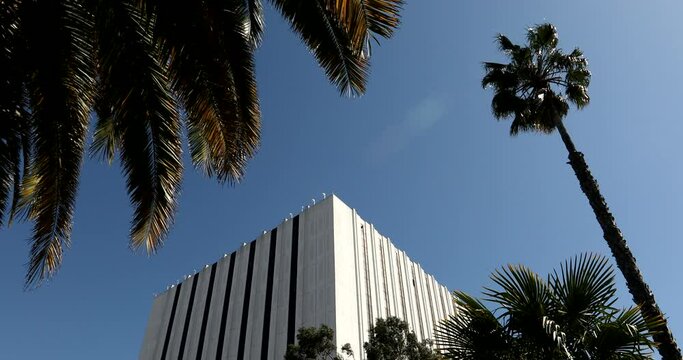 Afternoon palm framed view of downtown Compton, California, USA.