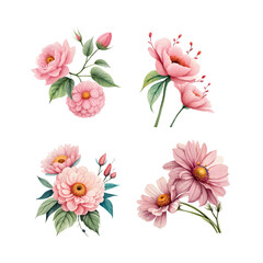 floral watercolor collection for wedding invitations  in  wallpapers  fashion  prints.