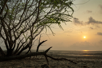 sunrise in the seashore of Bakkhali