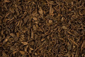 Dried green tea leaves background.