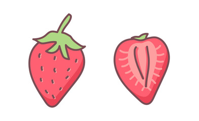 Strawberry outline illustration with watercolor effect. Vector doodle icon sketch hand drawn fruit illustration