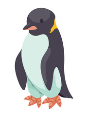 penguin artic animal