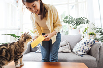Young asian woman feeding food to her cute kitten cat at home in the morning. hungry shorthair cat standing to eat delicious cat food in the bowl. © gumpapa