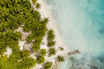 Tropical carribbean beach