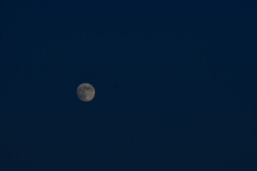 moon in the sky