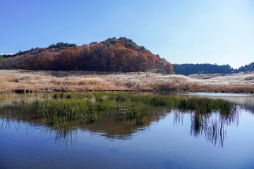 青空バックに見る砥峰高原の秋の情景