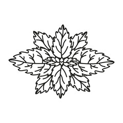 Vector image of mint in doodle style. Illustration of leaves for confectionery. Sweet pie seasoning.